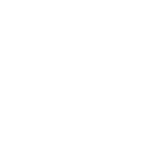 Theme Park